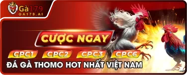 Banner Khuyến Mãi GA179